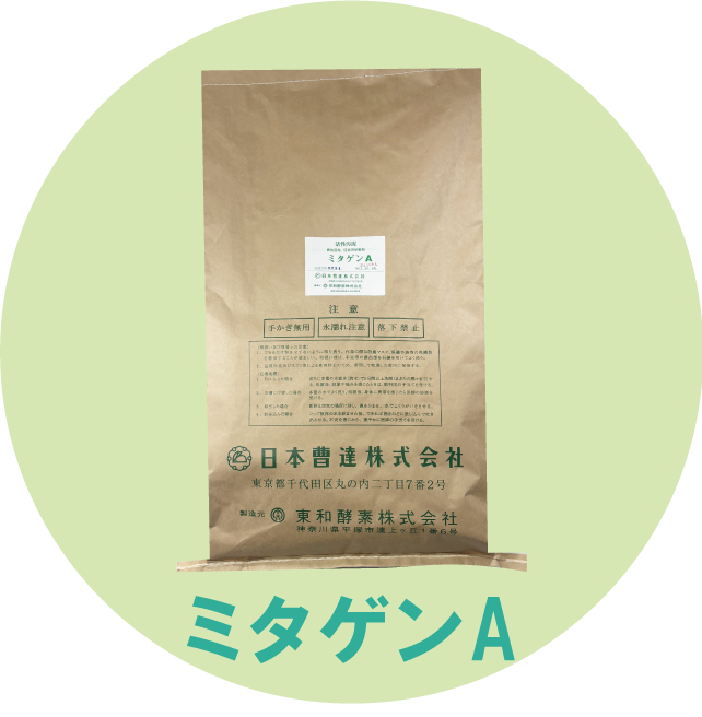 ミタゲンA