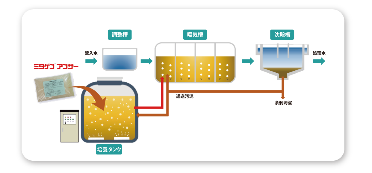 ミタゲンアンサー 導入イメージ